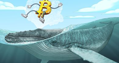 Crypto whales accumulate as bear market nears late stage: CryptoQuant